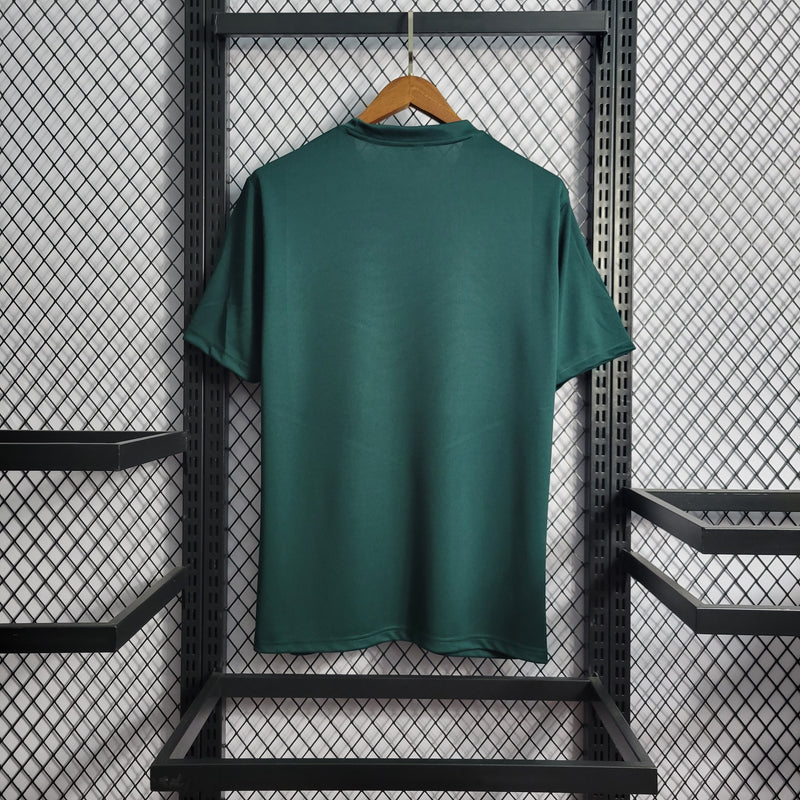 Camisa Palmeiras Pré Jogo 22/23 Puma Masculina - Verde+Cinza