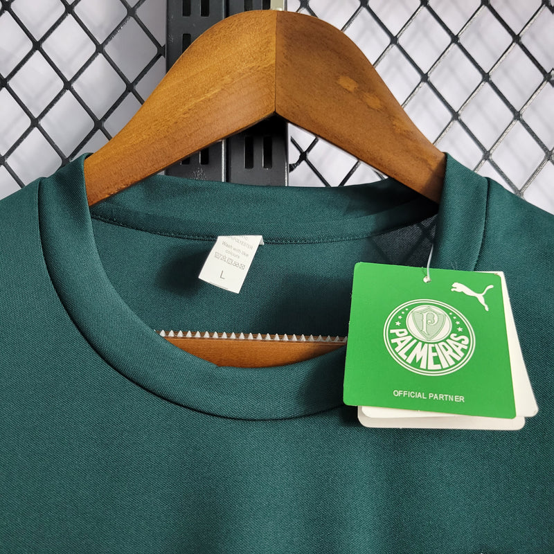 Camisa Palmeiras Pré Jogo 22/23 Puma Masculina - Verde+Cinza