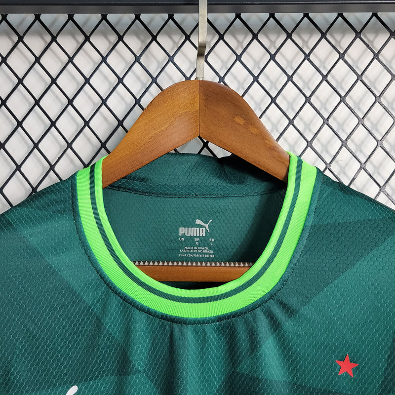 CAMISA PUMA PALMEIRAS I 23/24 MASCULINA - TORCEDOR - Verde